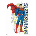 Trend Setters Superman Kal-El MightyPrint Wall Art MP17240500